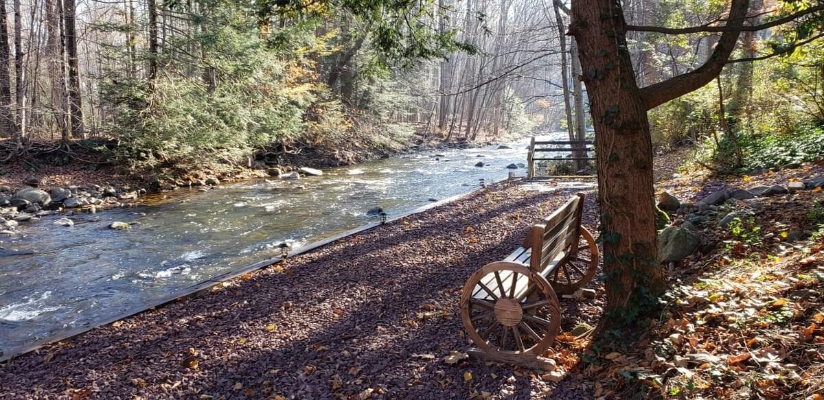 Chilling area by the Creek 